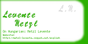 levente metzl business card